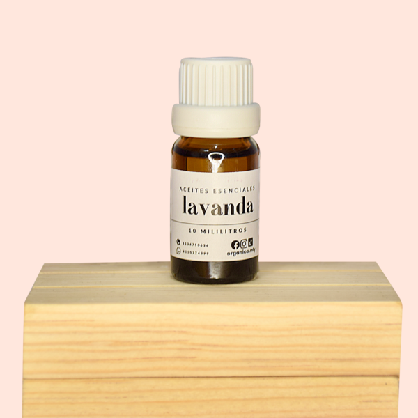 Lavanda
