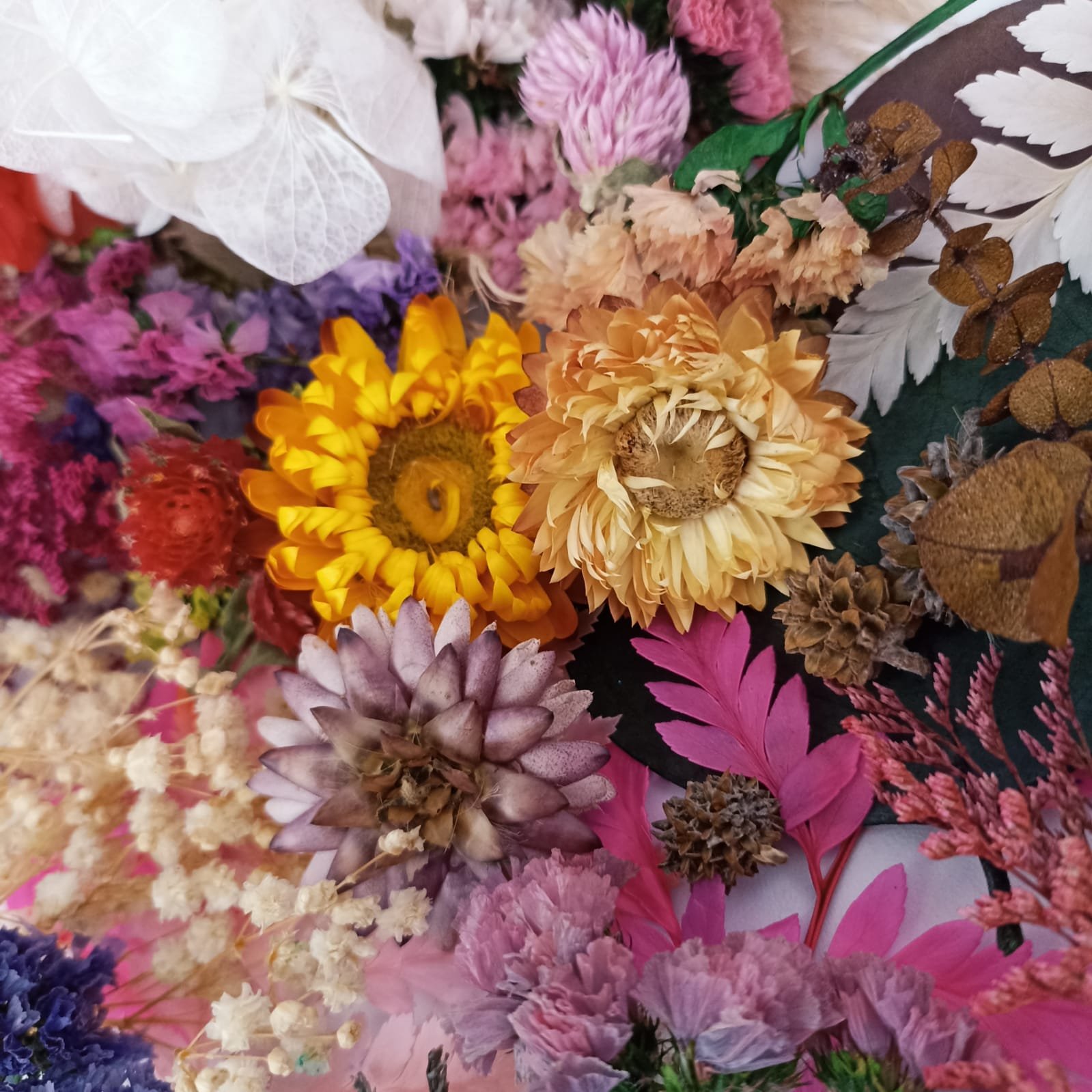 Flores Preservadas
