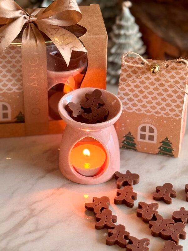 Paquete navideño wax melts
