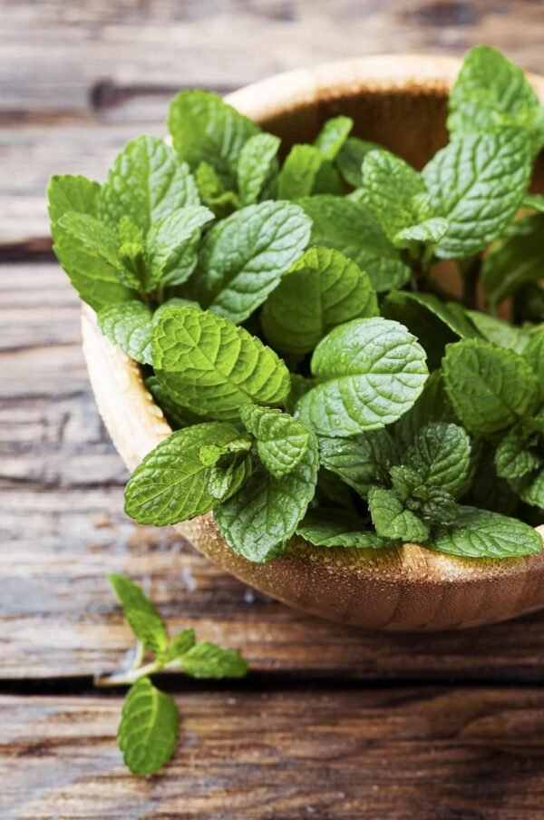 Fragancia Menta
