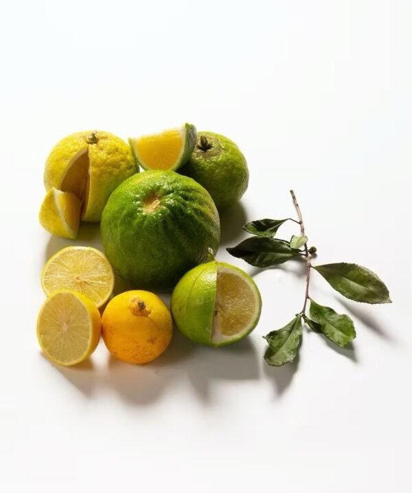 Fragancia Lima & bergamota